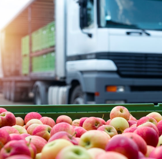 Transporte de alimentos perecederos