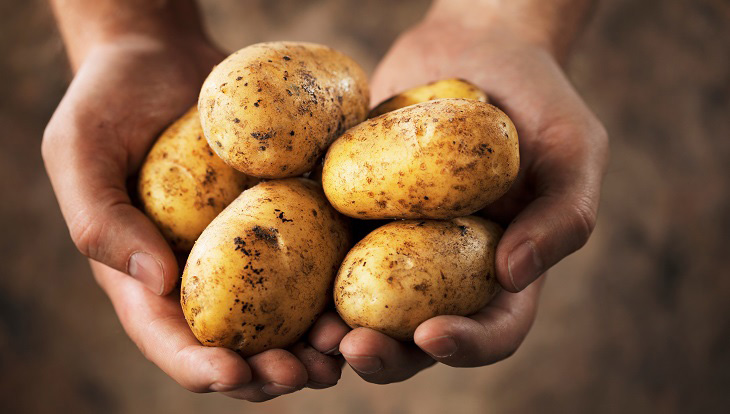 Variación de precios agro en septiembre fue la más baja de los últimos 12 meses