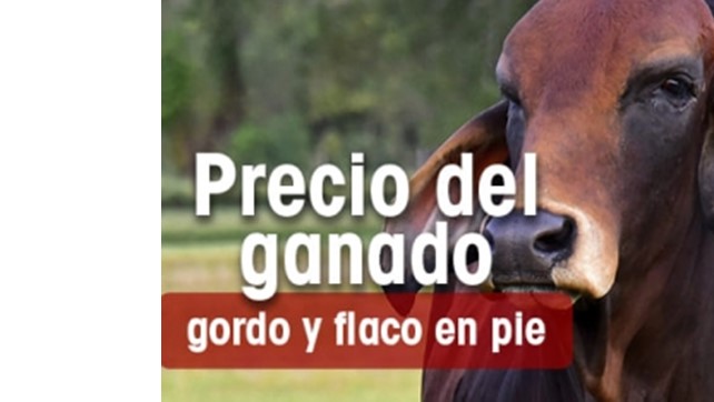 Precio promedio del ganado pierde 2 puntos