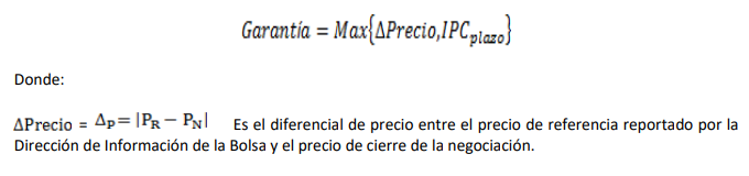 Artículo 6.2.2.2.4.- Constitución de Garantías 
