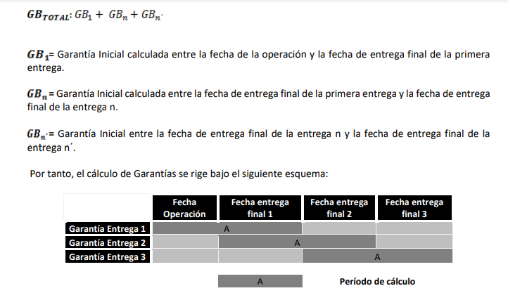 Artículo 6.2.2.4.1.- Cálculo de Garantías 
