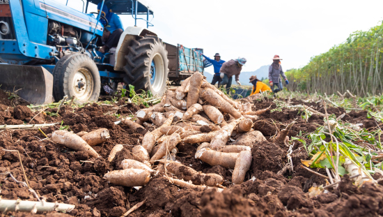 Los precios agropecuarios continúan con una variación anual negativa en septiembre (-1.7%)  